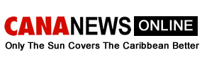 anyfans.news