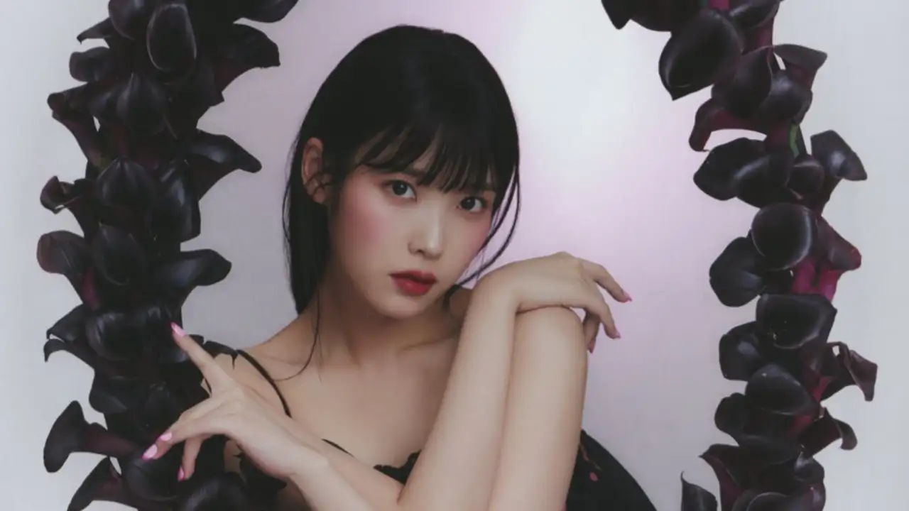 anyfans.news