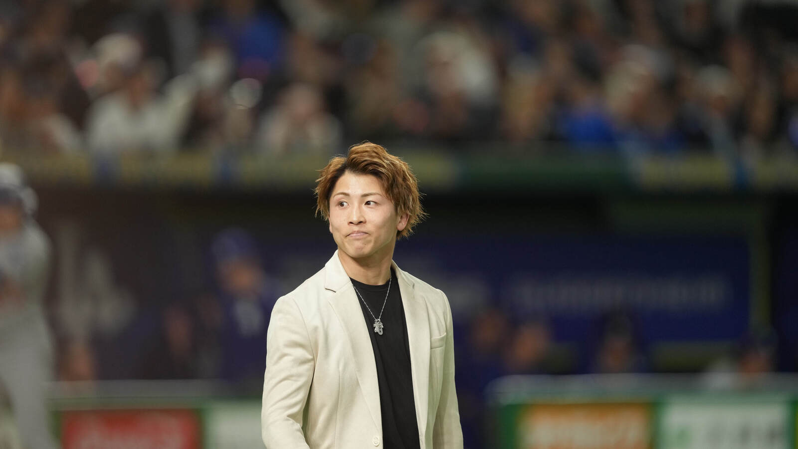 anyfans.news