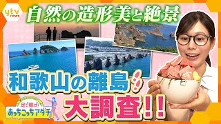 anyfans.news