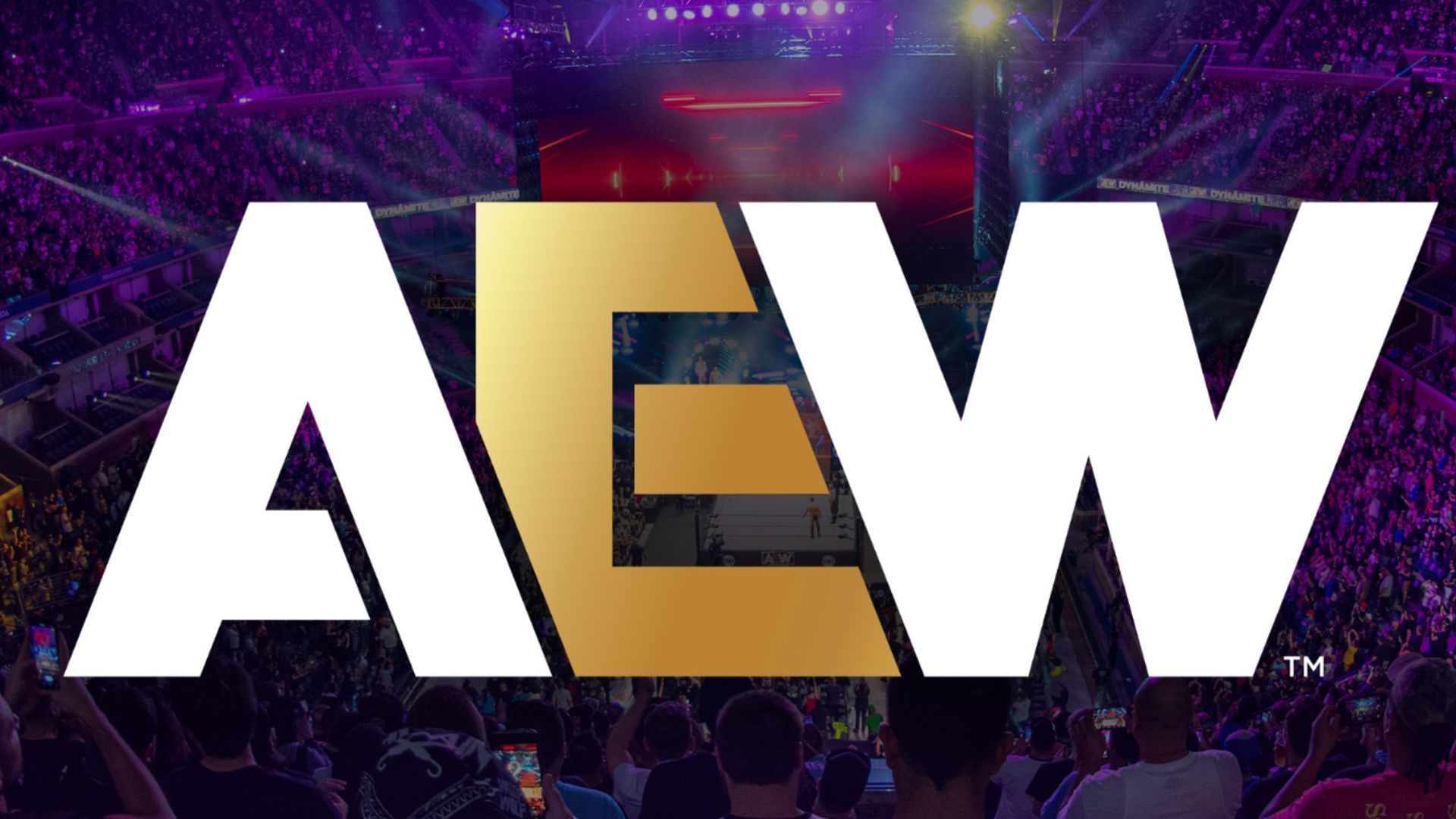 anyfans.news