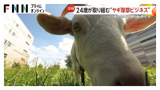 anyfans.news