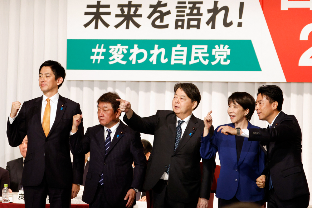 anyfans.news