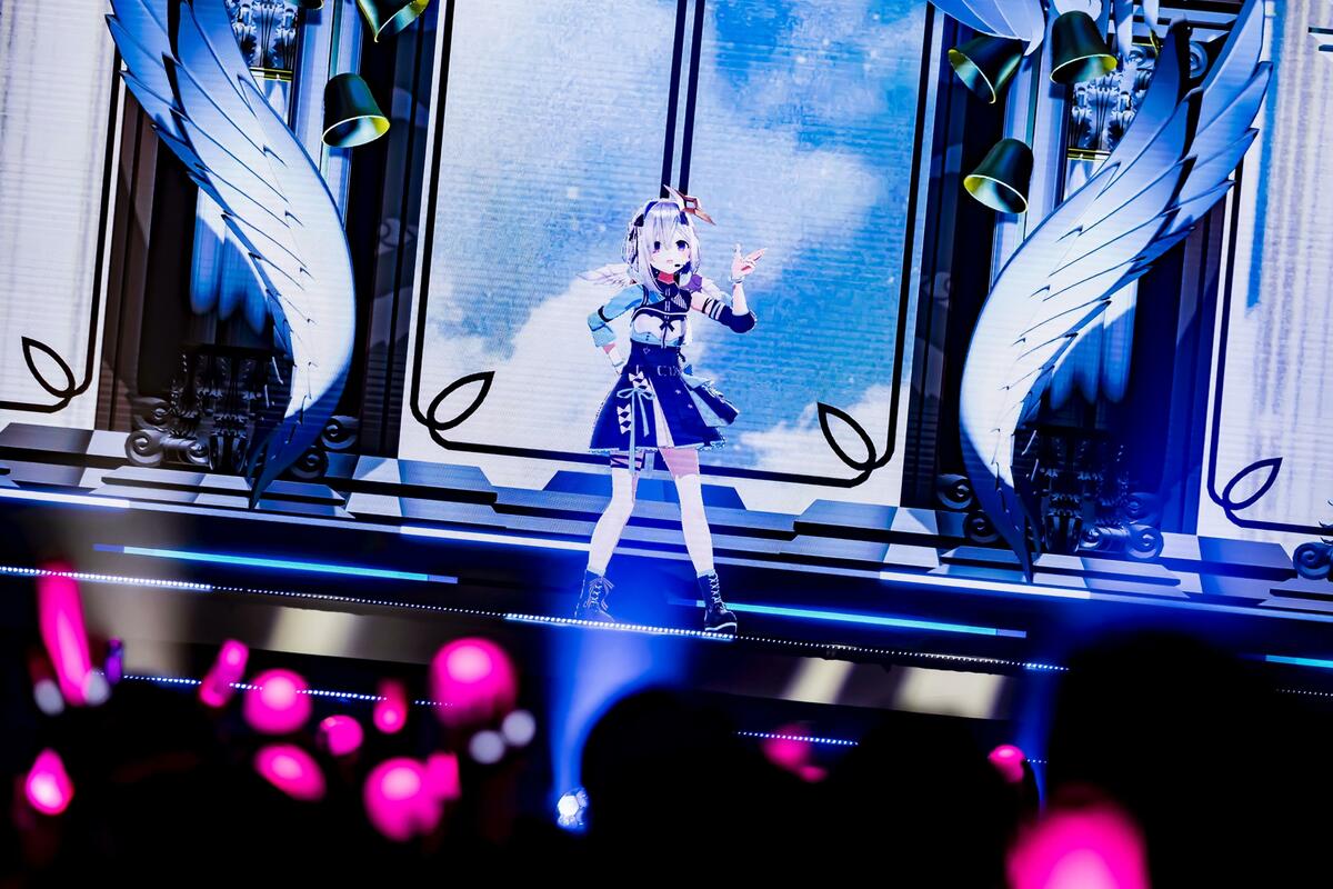 anyfans.news