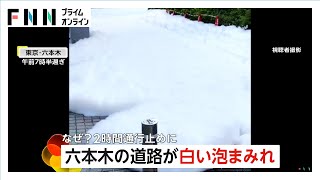 anyfans.news