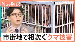anyfans.news