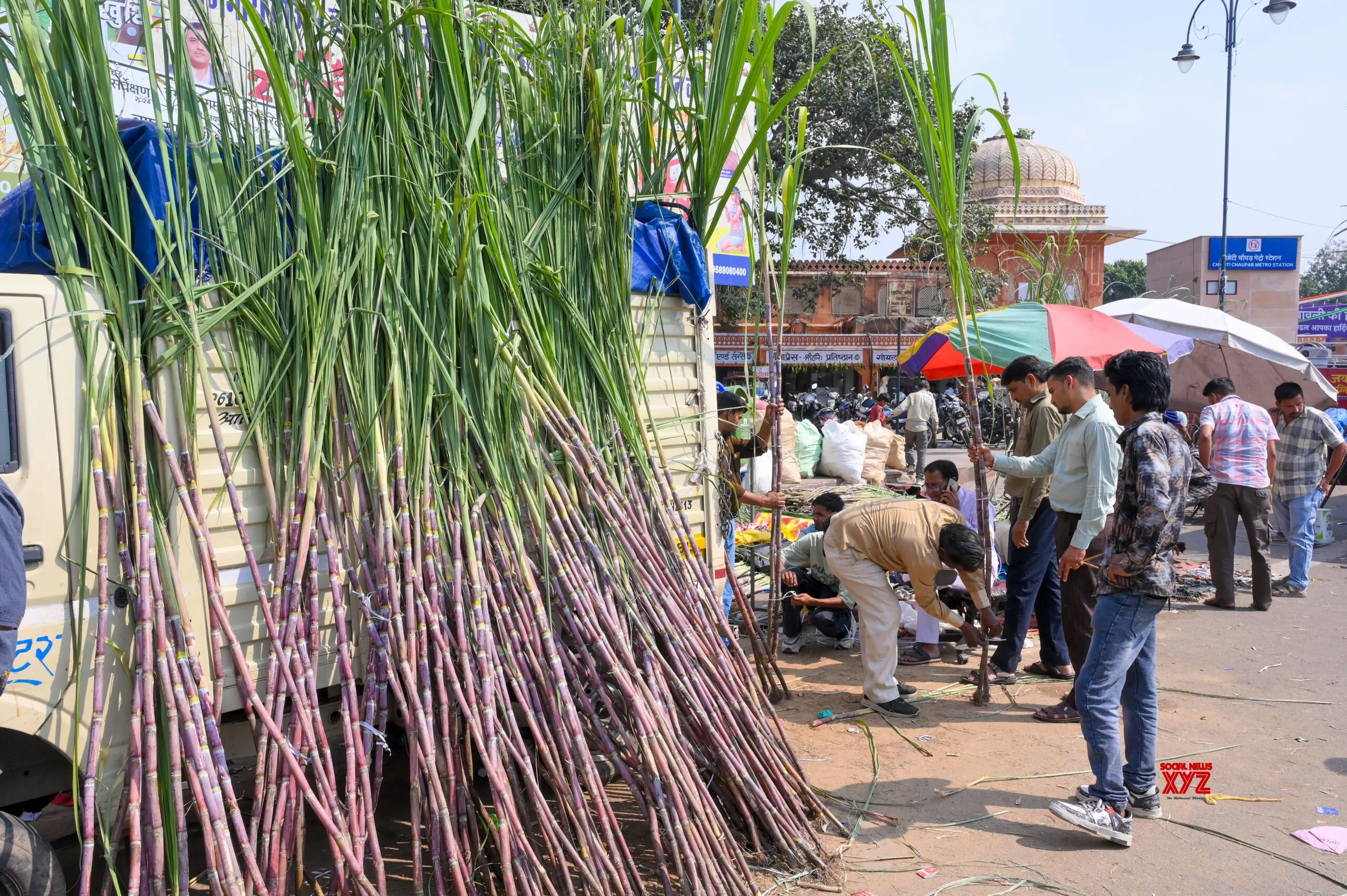 Jaipur: People Buy Sugarcane for Laxmi Puja #Gallery