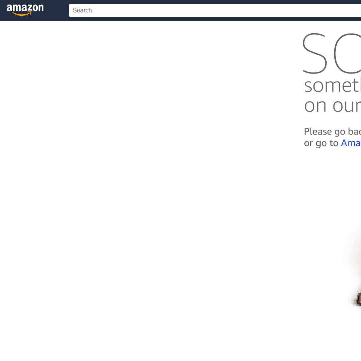 Major internet outage hits websites after Amazon Web Services disruption 
