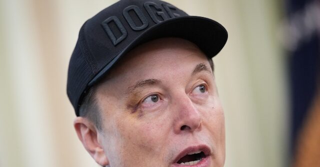 Elon Musk's Tesla Urges EPA to Protect What Lee Zeldin Calls 'Holy Grail of Climate Religion'