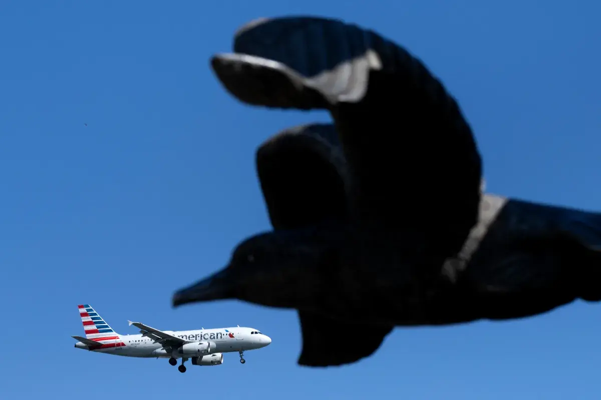 American Airlines Launches New Credit Card-With These Travel Perks