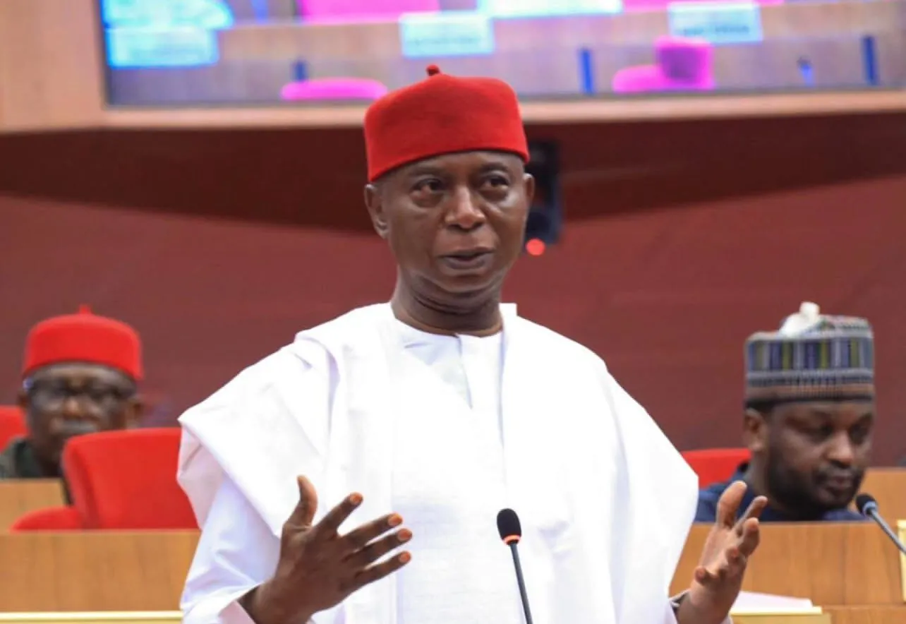 Senator Nwoko calls for stricter travel oversight from NIS, embassies