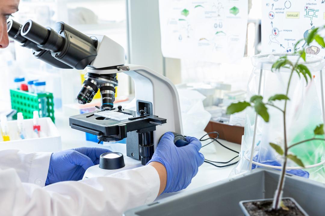 Micropep Supercharges Peptide Innovation with Krisalix: A Groundbreaking AI-Powered Platform