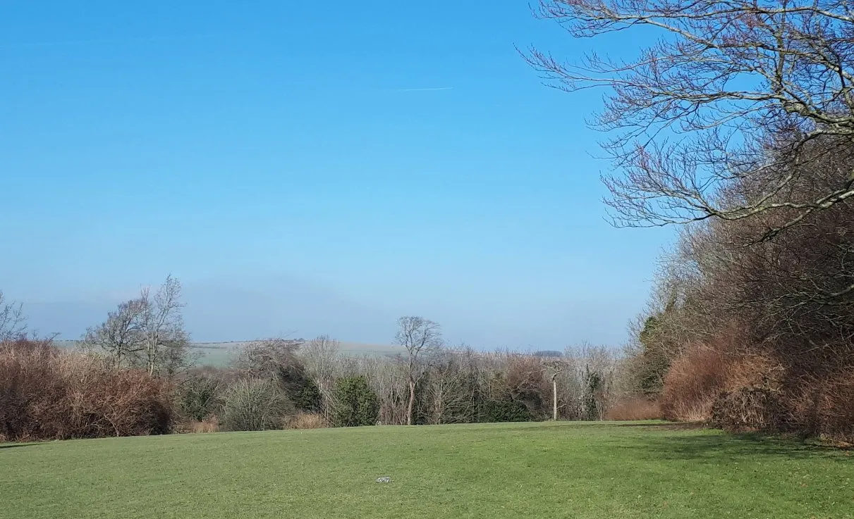 Woodland neighbourhood named best place to live in England right now