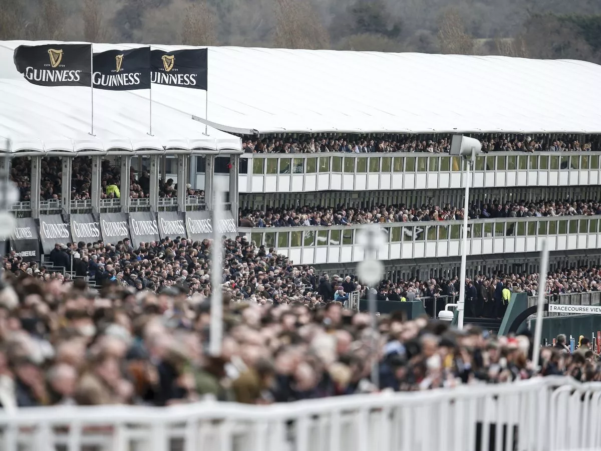 Moving Cheltenham Festival from Wednesday to Saturday would be huge mistake and slap in the face to loyal fans