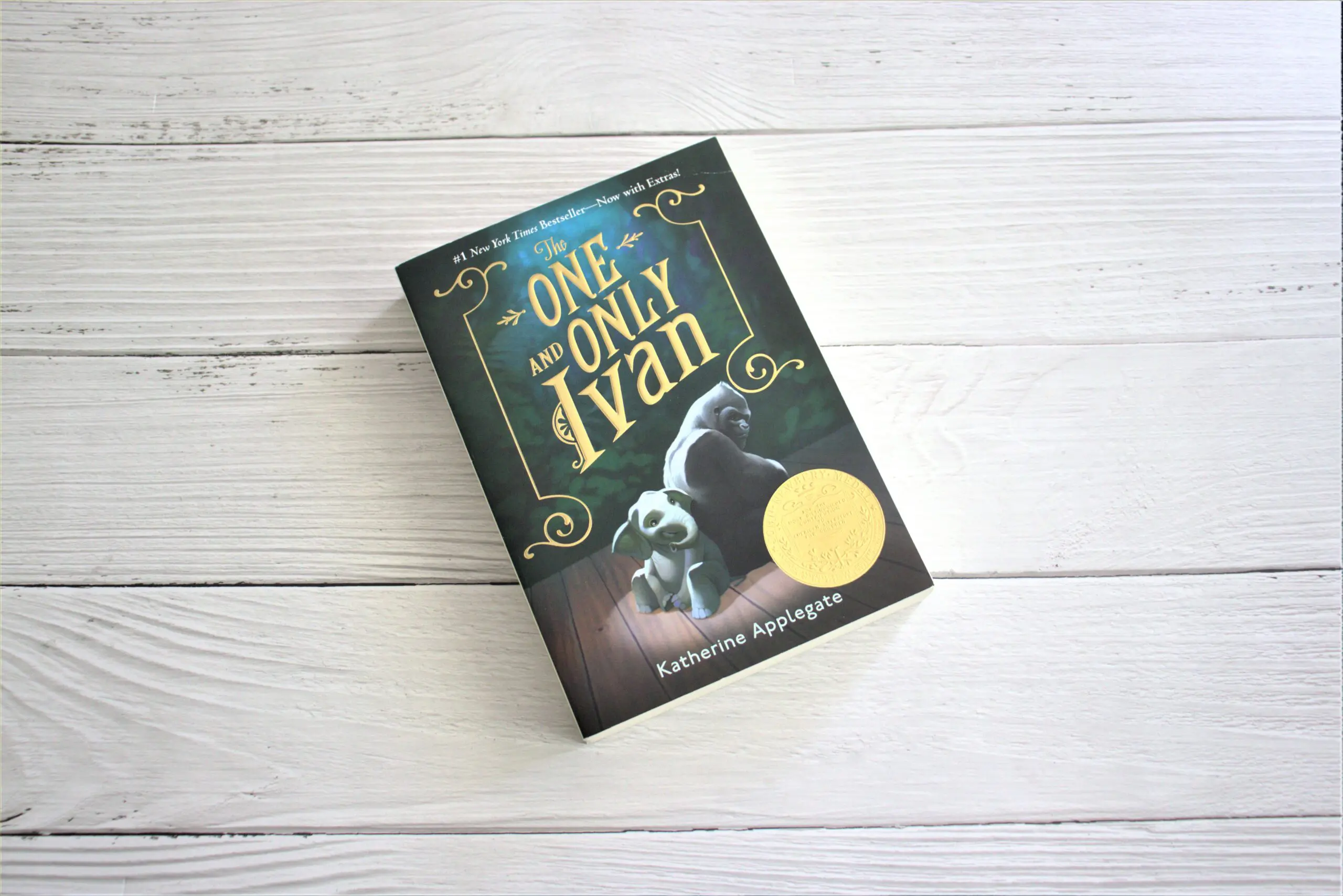 Book Review| The One and Only Ivan