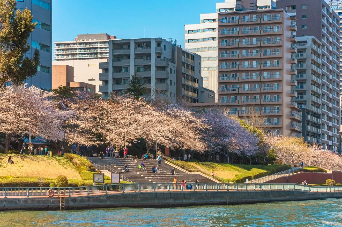 The Calm, Creative Corner Of Tokyo Worth Wandering