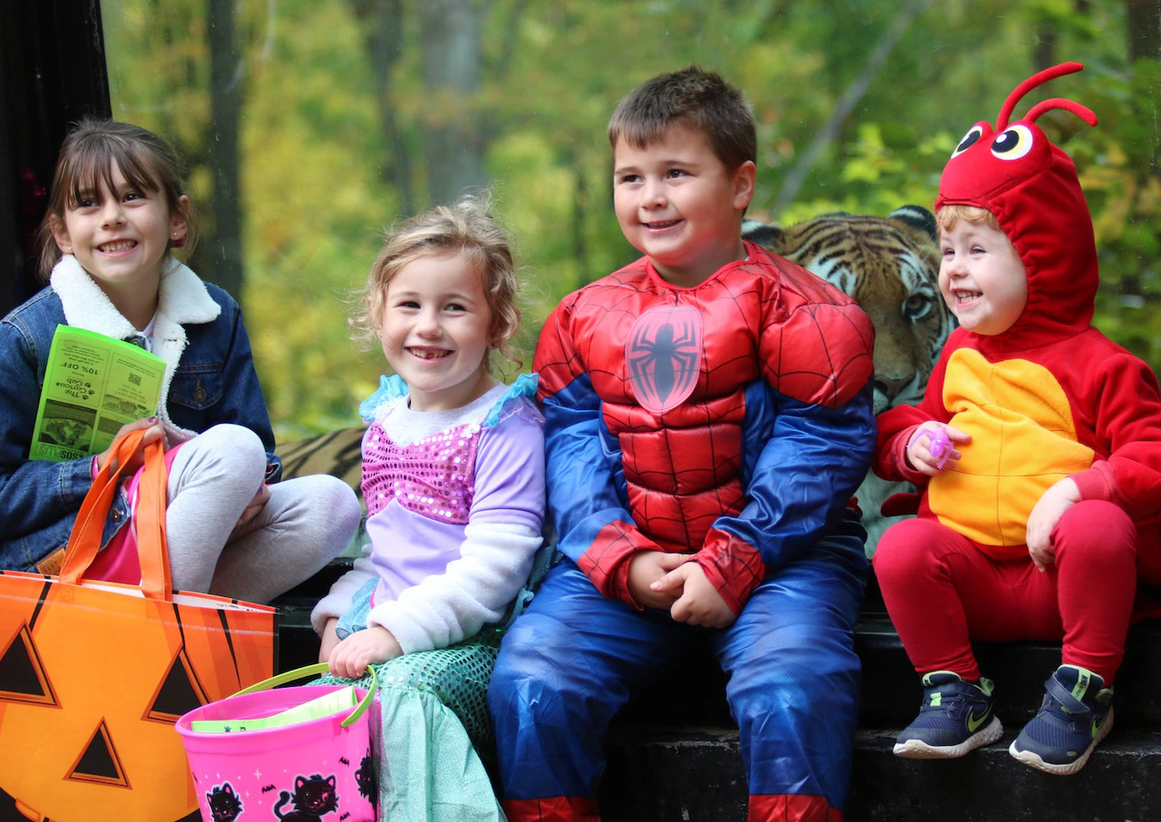 Zoo Boo, ‘The 39 Steps,’ Halloween bar crawl: 17 things to do this week in CNY