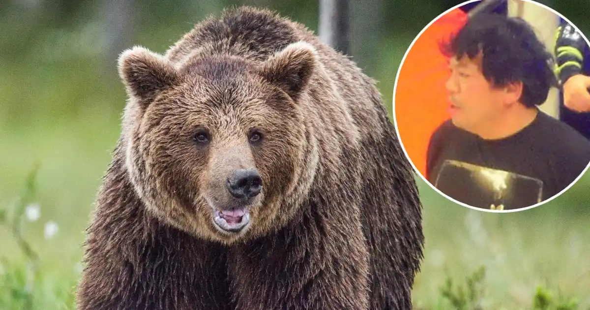 Beloved Professional Wrestling Referee Killed in Horrifying Bear Attack