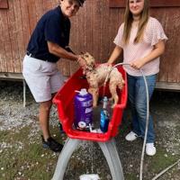 Humane Society event--fun for funds held