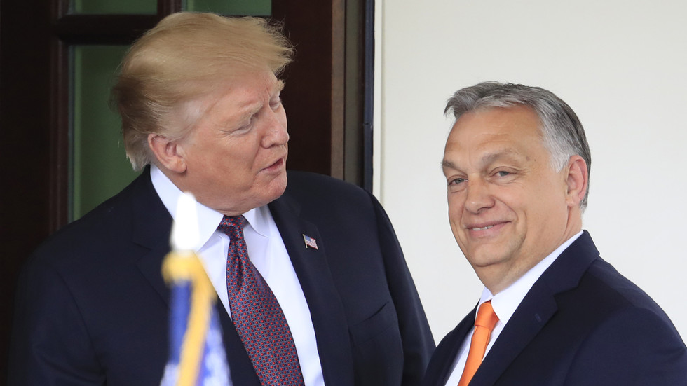 Orban reveals what he told Trump about Russian oil