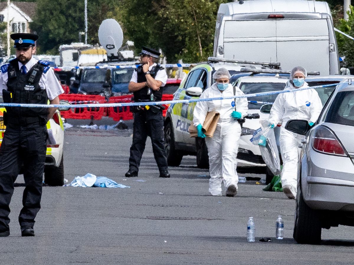 Psychiatrist says Southport killer's parents 'manipulated' information about violent past