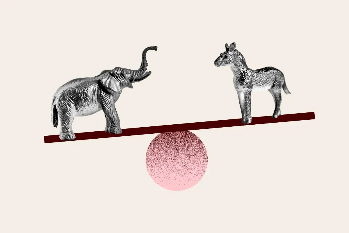 Polls Reveal Warning Signs for Democrats Ahead of Midterms
