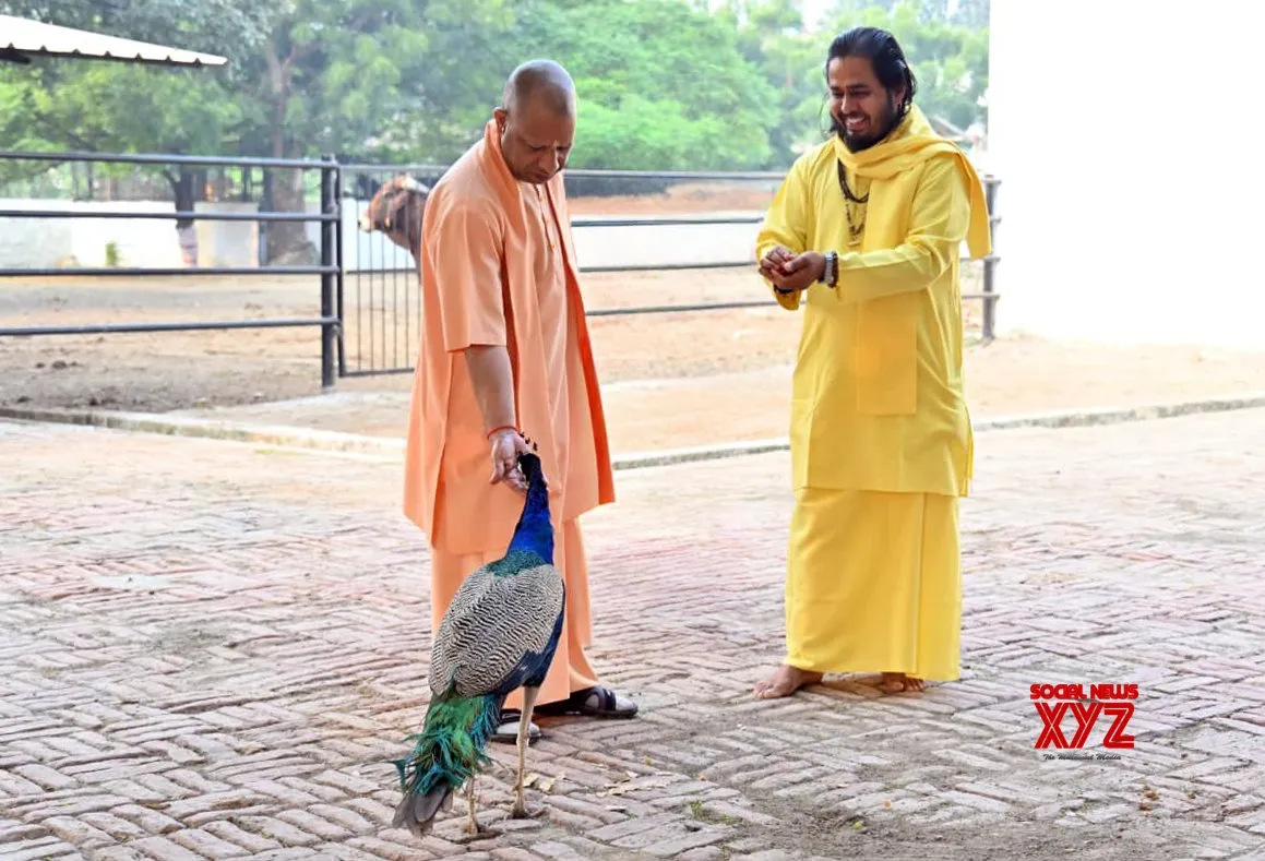 Gorakhpur: Yogi Adityanath Feeds Peacock at Gorakhnath Temple #Gallery