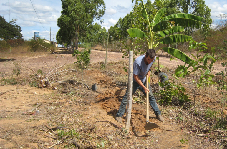 Angels of Backlands: How Traditional Knowledge is Saving Forgotten Lands