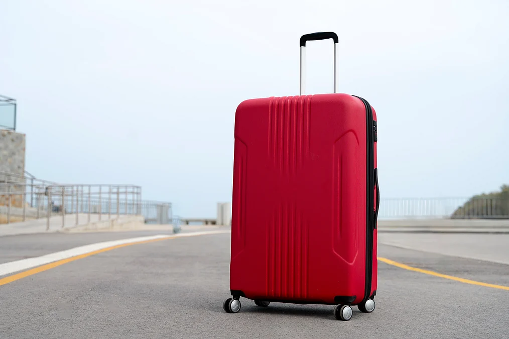 VIP Industries Bulk Deal: Promoters Offload Stake Worth Rs 343 Crore