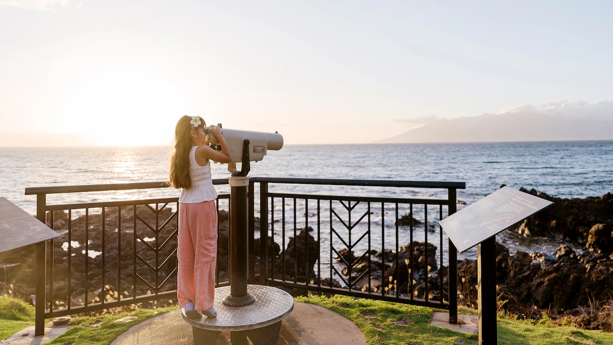 Maui 2026: When to visit, where to stay, and what to do