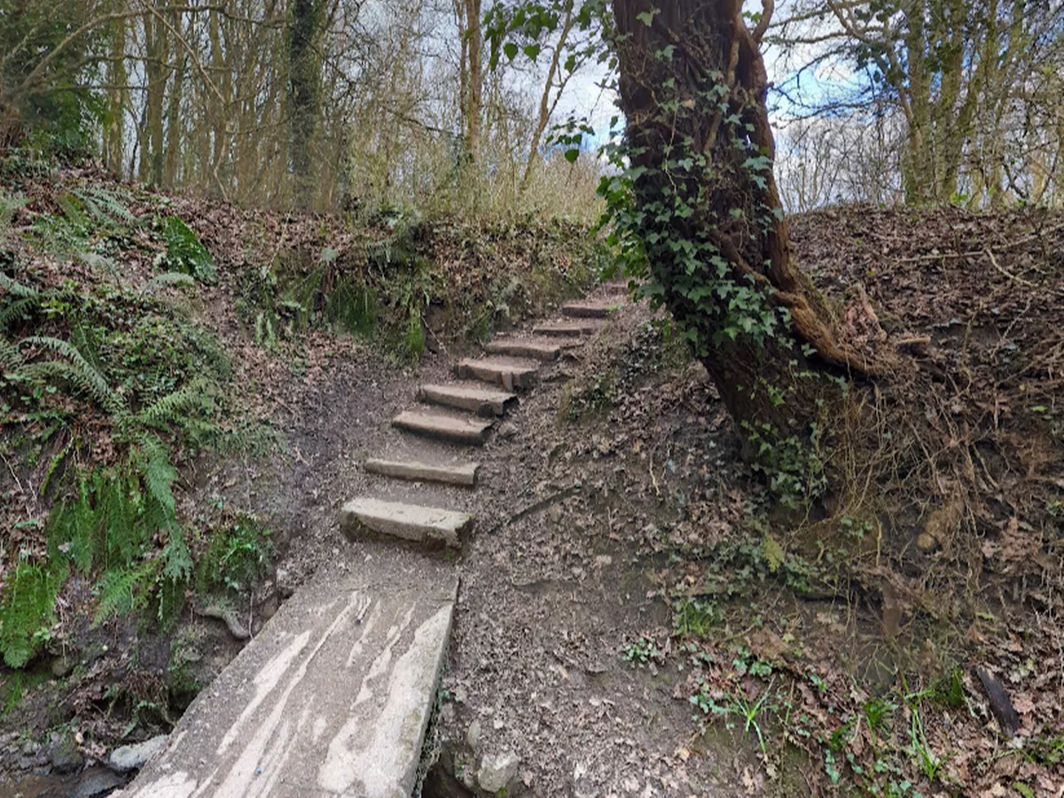 Nature reserve hidden between two busy roads in Cardiff that you’d never know was there 