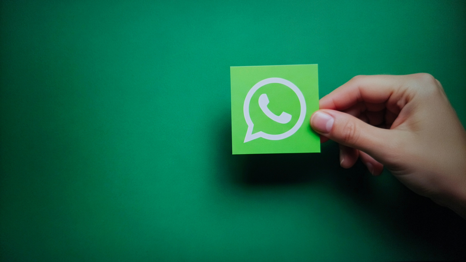 Meta Wants AIs Like ChatGPT Gone From Your WhatsApp Chats﻿
