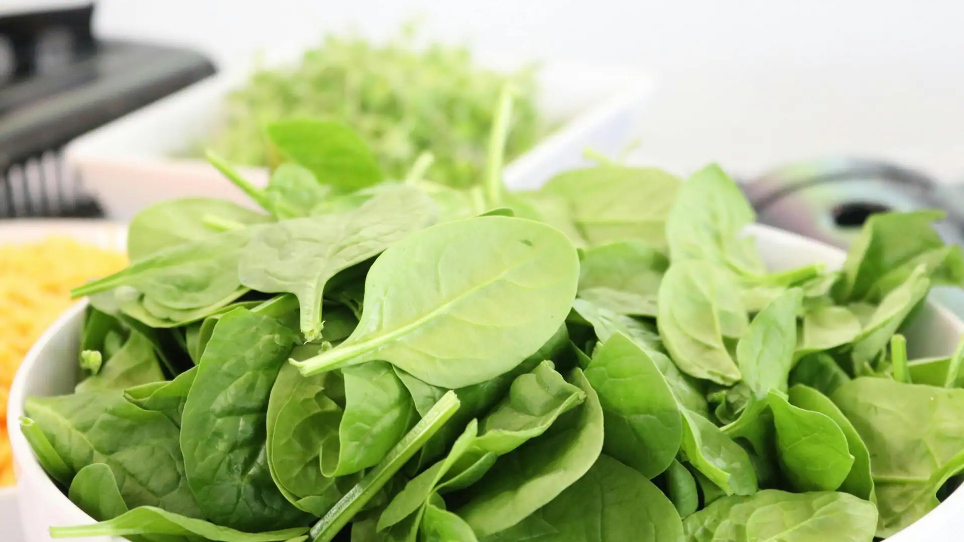 Easy tips to grow New Zealand spinach on your windowsill