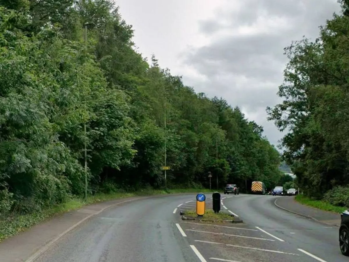 Teacher suffered severe brain injury after driver failed to 'properly look'