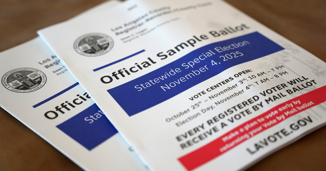 Your November Election Guide (Yes, This November)