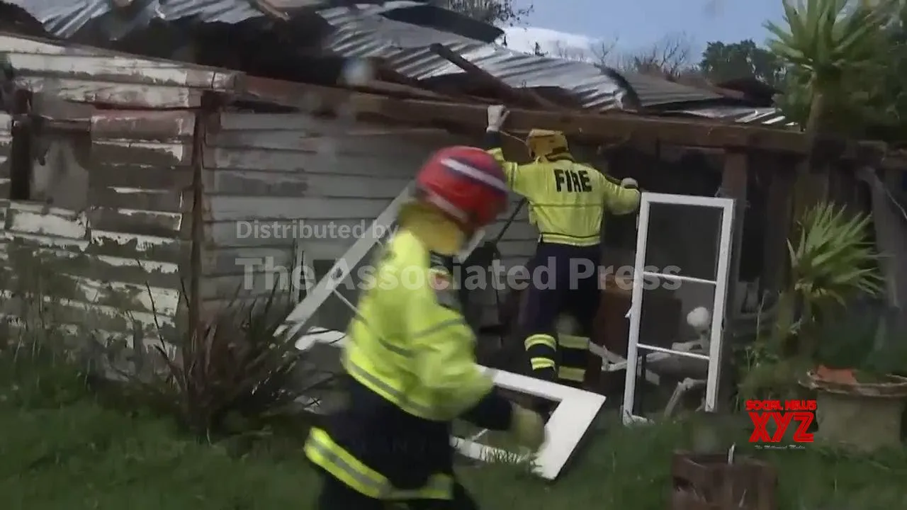 Man killed by tree branch as storm buffets Wellington, New Zealand (Video)