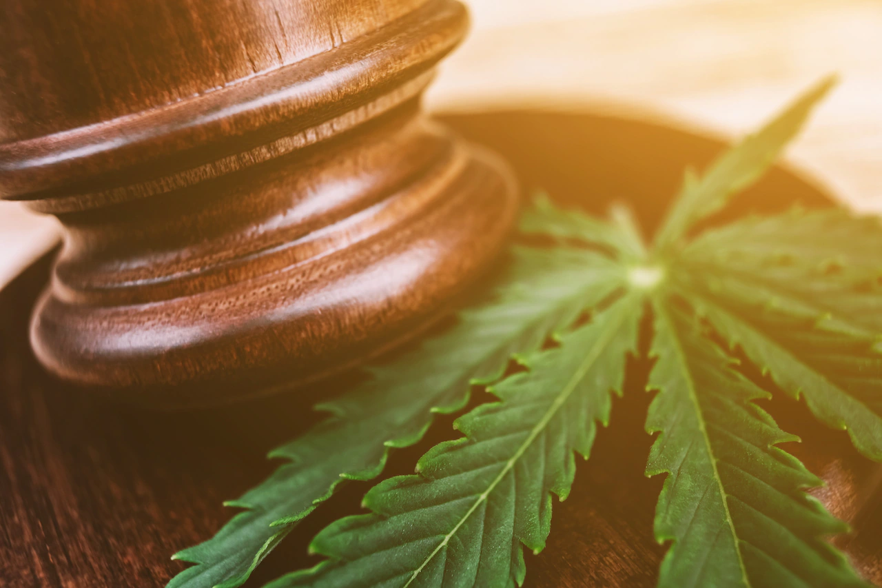 Supreme Court to consider landmark case on gun rights of marijuana users