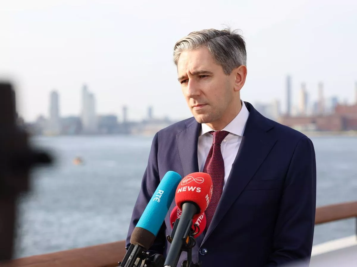 Tanaiste welcomes White House confirmation of EU exemption from new 100 per cent pharma tariff