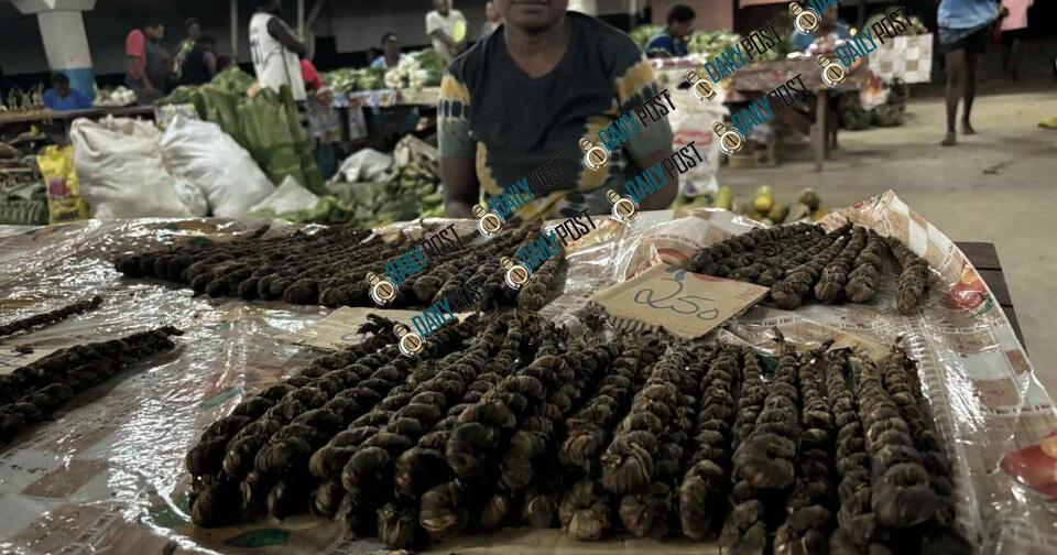 Big Bay mother strives to turn tobacco leaves into school fees despite transport challenges