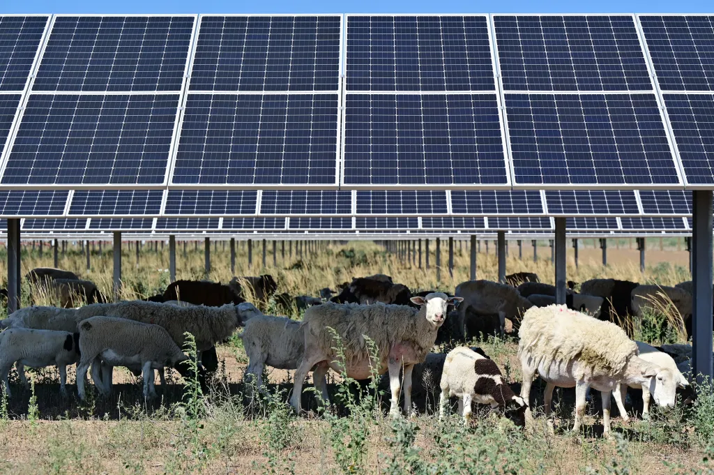 Column: How to bridge the red-blue divide on clean energy