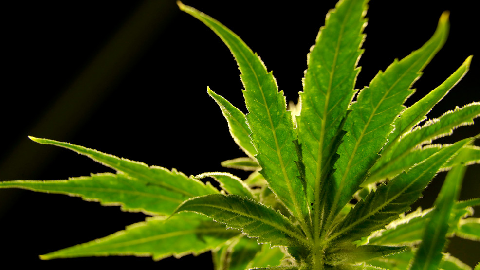 Can people who smoke marijuana regularly legally own guns? Supreme Court to decide