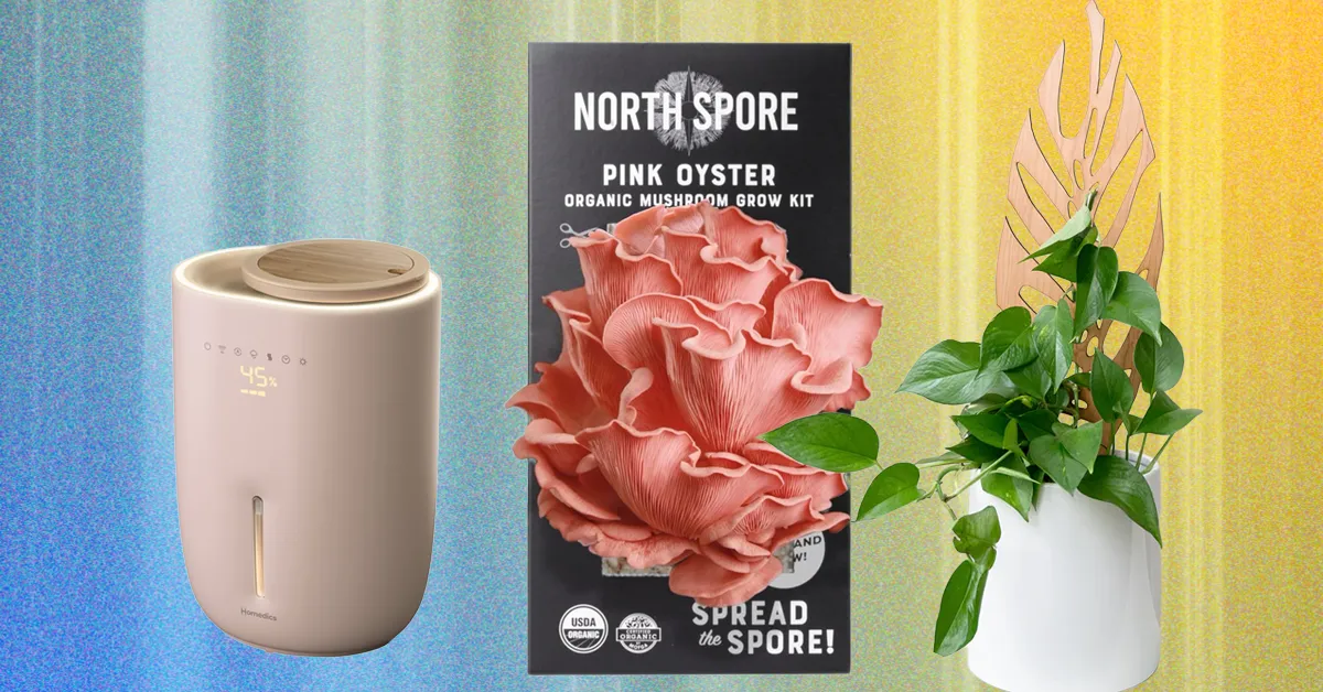 The 14 Best Gifts for Plant Lovers