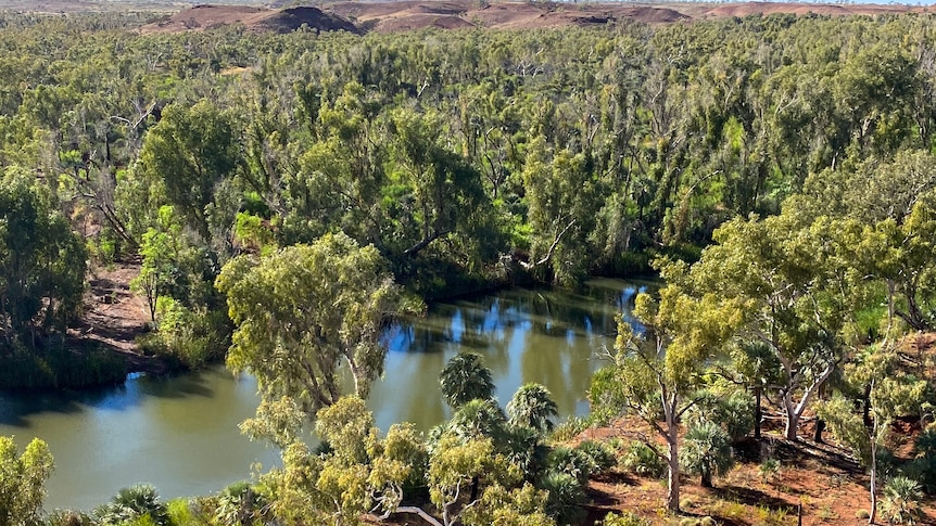 WA government calls on EPA to investigate water usage in the Pilbara