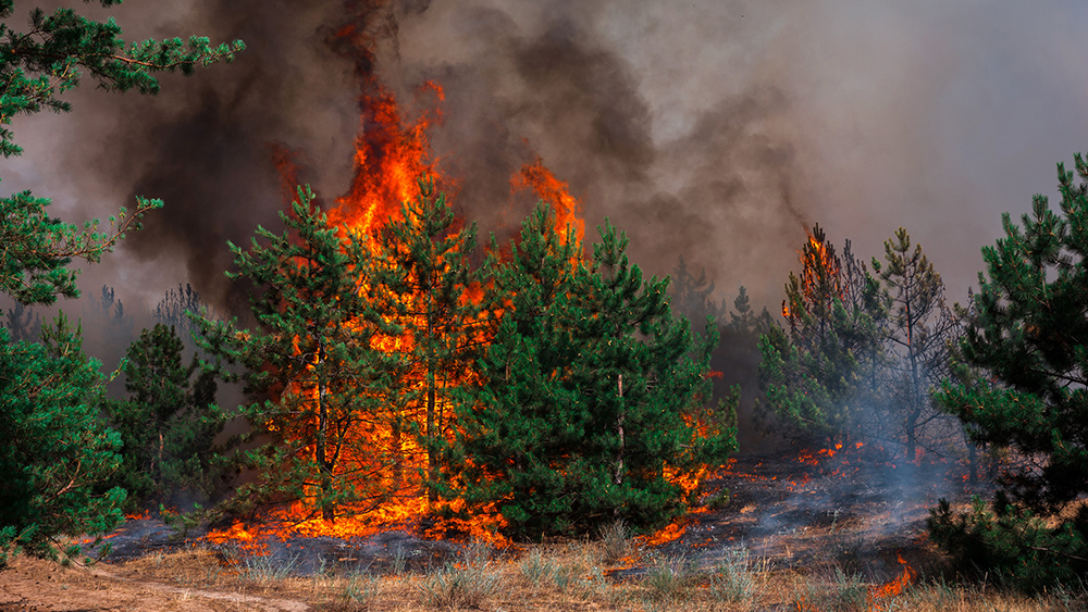 Toxic legacy: How wildfires poison drinking water for years