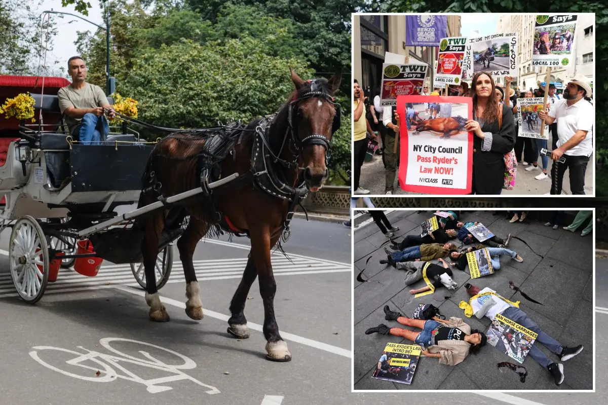 NYCLASS spends millions to ban horse carriages in NYC