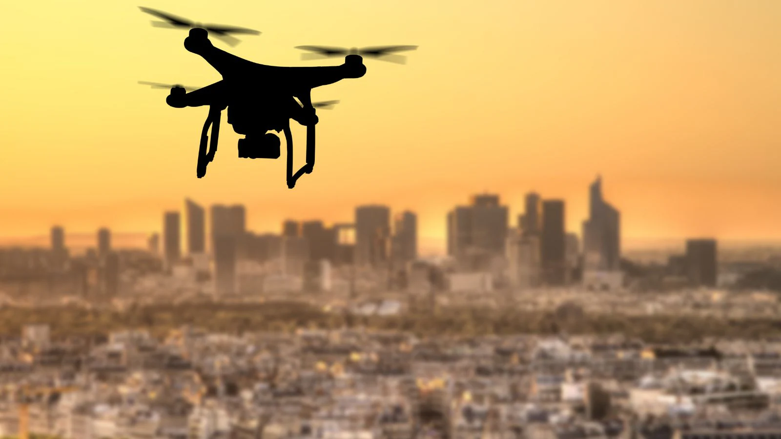 Delhi's Drone Didis Take Flight: Police's Latest Initiative To Keep Bird's-Eye View On Capital