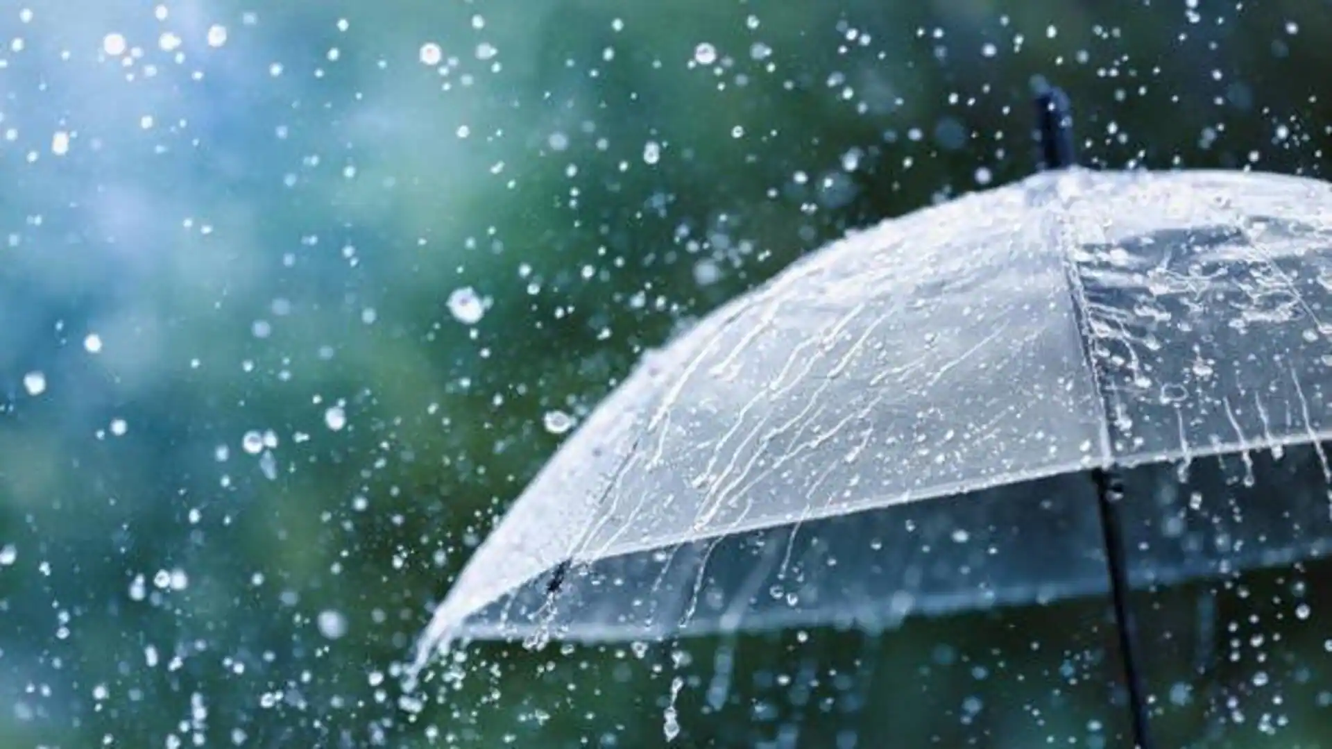 Monsoon fashion: Stylish umbrellas for every occasion