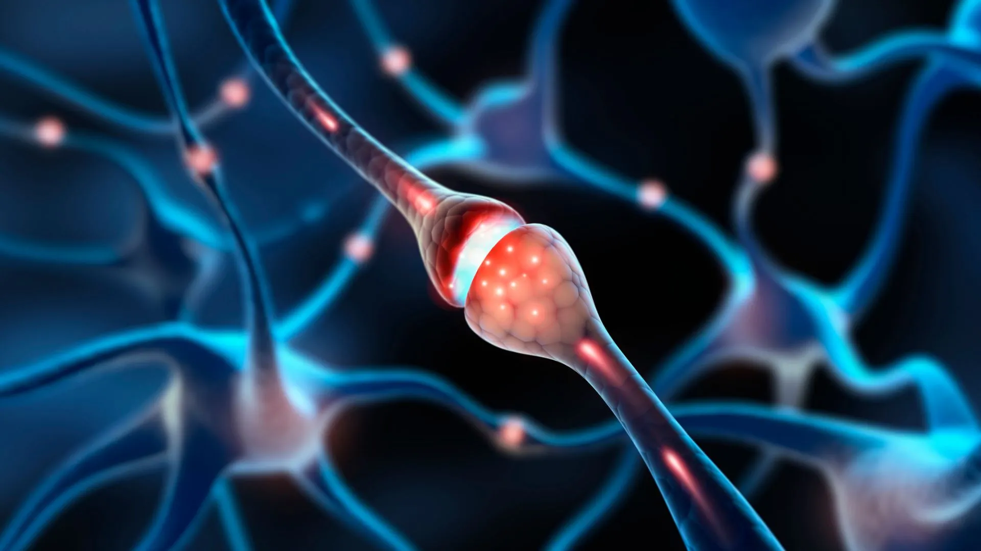 edge camera captures neurons ‘kissing’ in real time