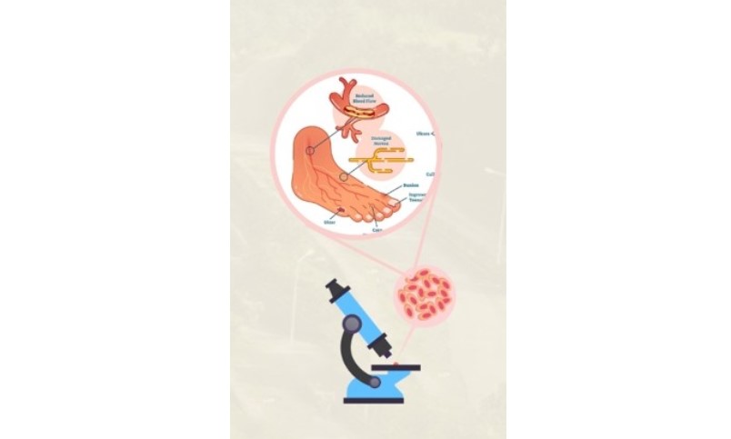 New hope for diabetics: Nagaland researchers find powerful therapeutic agent for…