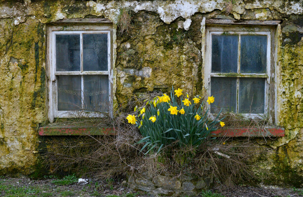'War on dereliction’ as 13 councils fail to acquire any derelict site through CPO last year